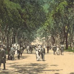 The Mall; Central Park. New...