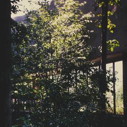Exterior view, trees in bui...