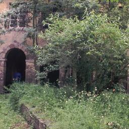 Courtyard, with overgrown g...