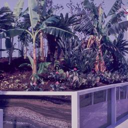 View of plantings on bridge.