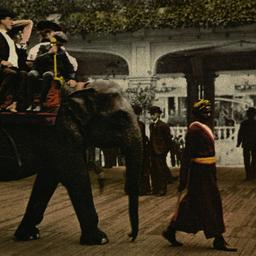 Riding the Elephant, Coney ...