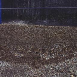Detail of soil and plants t...