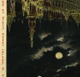 View of Luna Park at Night,...