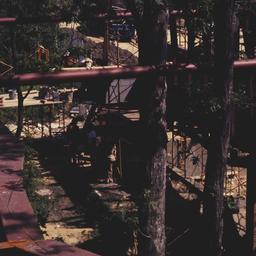 Construction view, trees in...