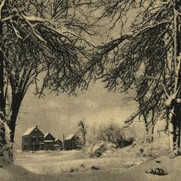 New York. Winter Landscape,...