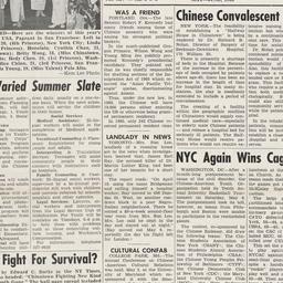 Chinese-American Times Vol....