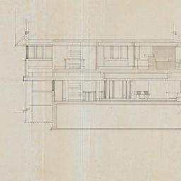 Cross, longitudinal sections