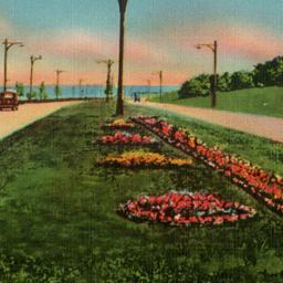 Looking North on Belt Parkw...
