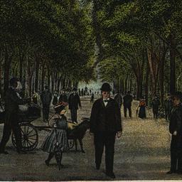 The Mall- Central Park, New...