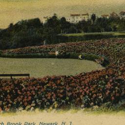 Geranium Horseshoe Bed, Bra...