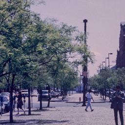 Boulevard lined with trees,...