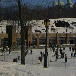 Skating Rink in Central Par...