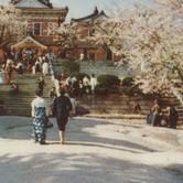 Changkyongwon Palace in spring