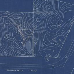 Plot plan topographical survey