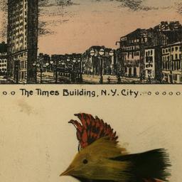 The Times Building, N.Y. City.