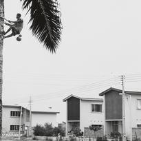 Surulere Housing, Palm tapp...
