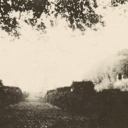 Page No. 061 - Frascati, Vi...