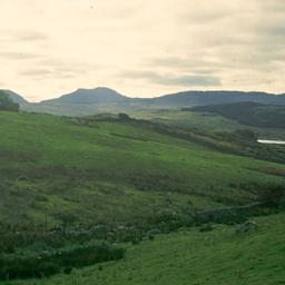 Fields.