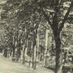 Page No. 013 - Rome, Villa ...