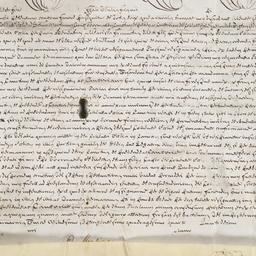 [Papal bull from Pope Bened...