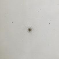 [Messier. SS220]