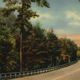 Bronx River Parkway Between...
