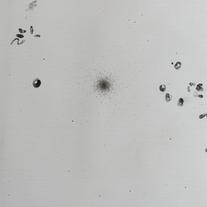 [Messier. SS219]