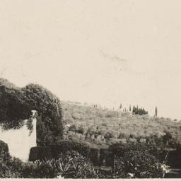 Page No. 037 - Florence, Vi...