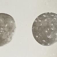 [Double Moon]