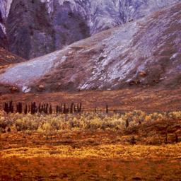 View of mountains and scrub...