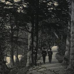 Lovers Lane, Bronx Park, N....