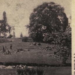 Plantation, Bronx Park, New...
