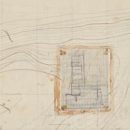 Newman plan