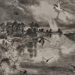 The Swallows