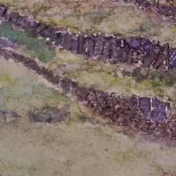 Perspective drawing, detail.
