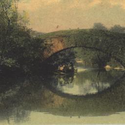 Vine Arch Bridge, Central P...