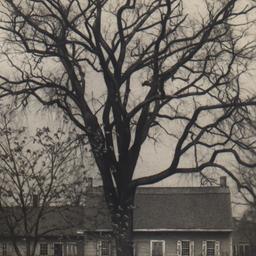 Johannes E. Lott Homestead ...
