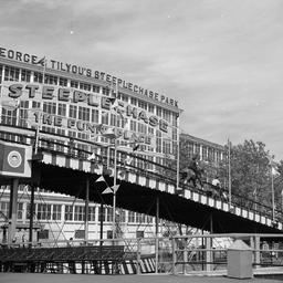 Photographic negatives of S...