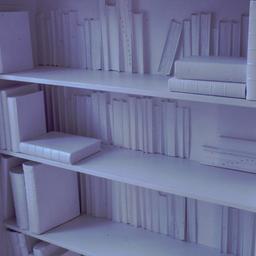 Interior view, detail of li...