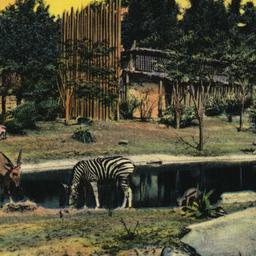 Looking across African Plai...