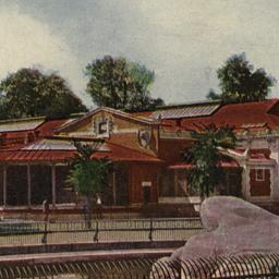 Lion House New York Zoologi...