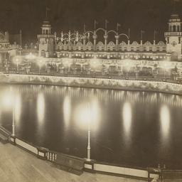 Luna Park: Coney Island Vie...
