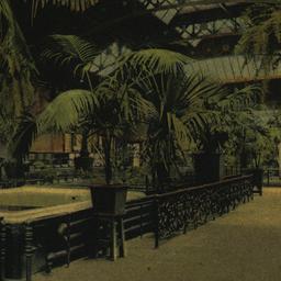 Interior of the Reptile Hou...