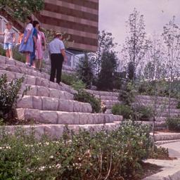 Visitors on terraced landsc...