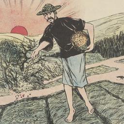 The Sower