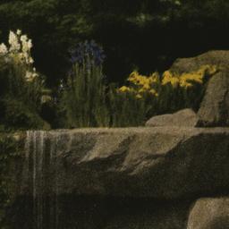 Brooklyn Botanic Garden, th...