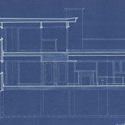 Longitudinal section