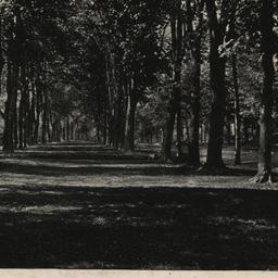 Broadway, White Plains, N. Y.