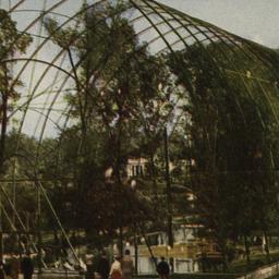 The Flying Cage. New York Z...