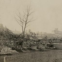 Steeplechase Park and Obser...